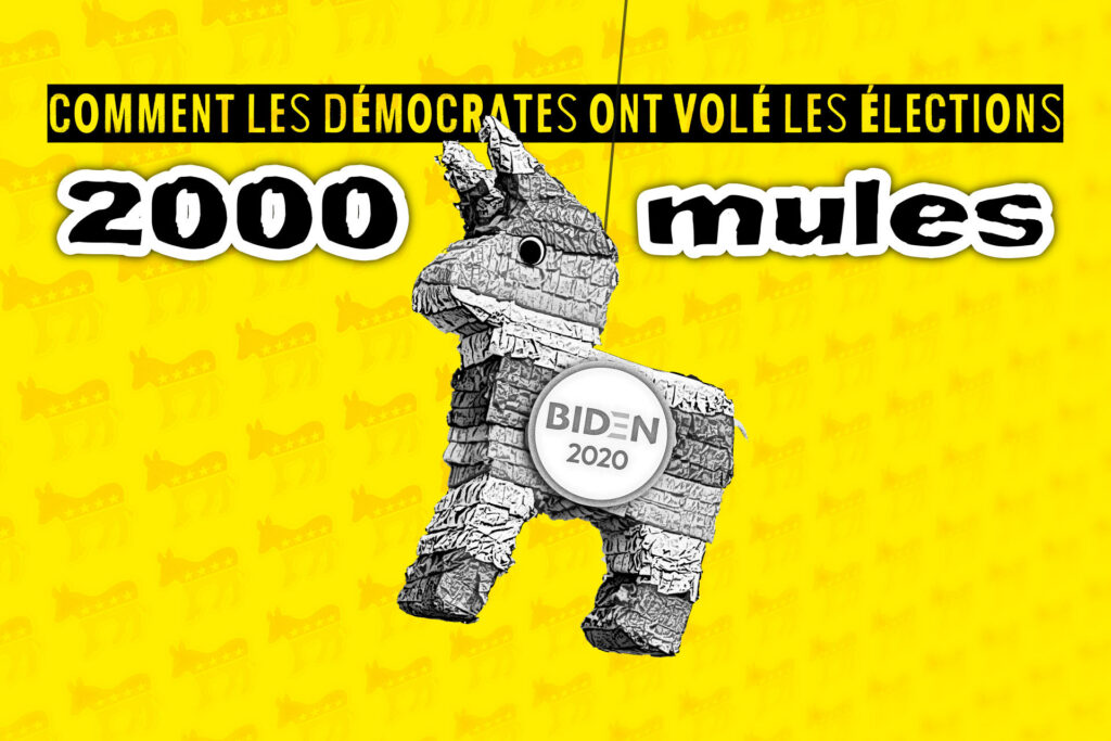 2000 mules : Comment les démocrates ont volé les élections